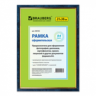  BRAUBERG 21*30, ,     (/, , ),  390705