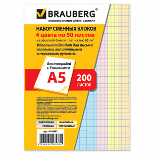       5 200. BRAUBERG, (4   50 .), 401661