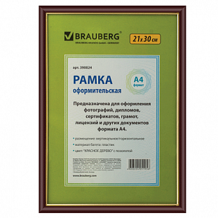  BRAUBERG 21*30, ,  , -.  . (/, , ),  390024