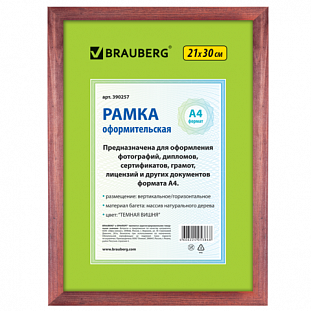  BRAUBERG 21*30, ,   ( , ,   ..),390257